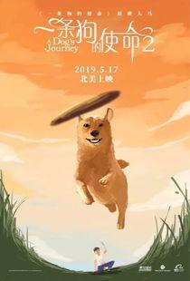 一条狗的使命2（原声版）,狗狗的使命续篇