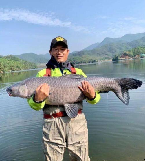 垂钓风云,探寻钓鱼文化的魅力与传承