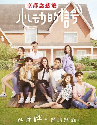 心动的信号 第八季,第八季情感之旅，探寻爱的真谛