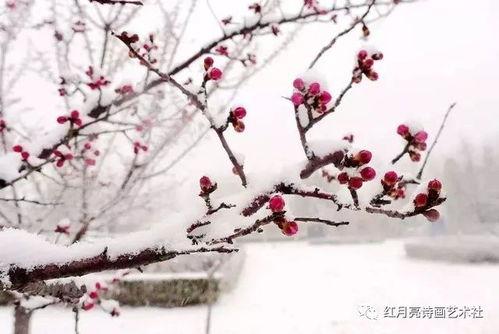 春风未寂情长绝（转身不见旧人归）,旧人归去，岁月如歌