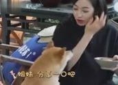 娱乐吃瓜酱的视频哪里搬,揭秘热门视频幕后制作过程
